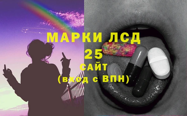 шишки Белокуриха