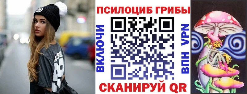 Галлюциногенные грибы Psilocybine cubensis  Кондопога 