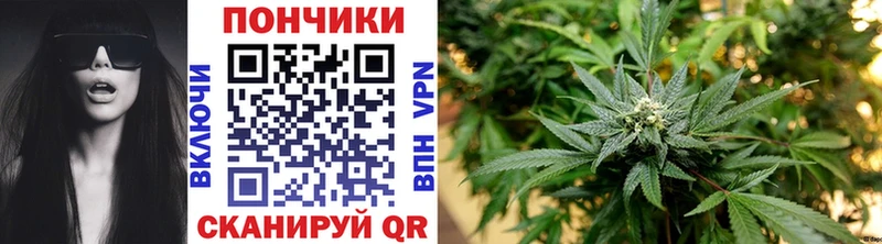 Конопля планчик Кондопога